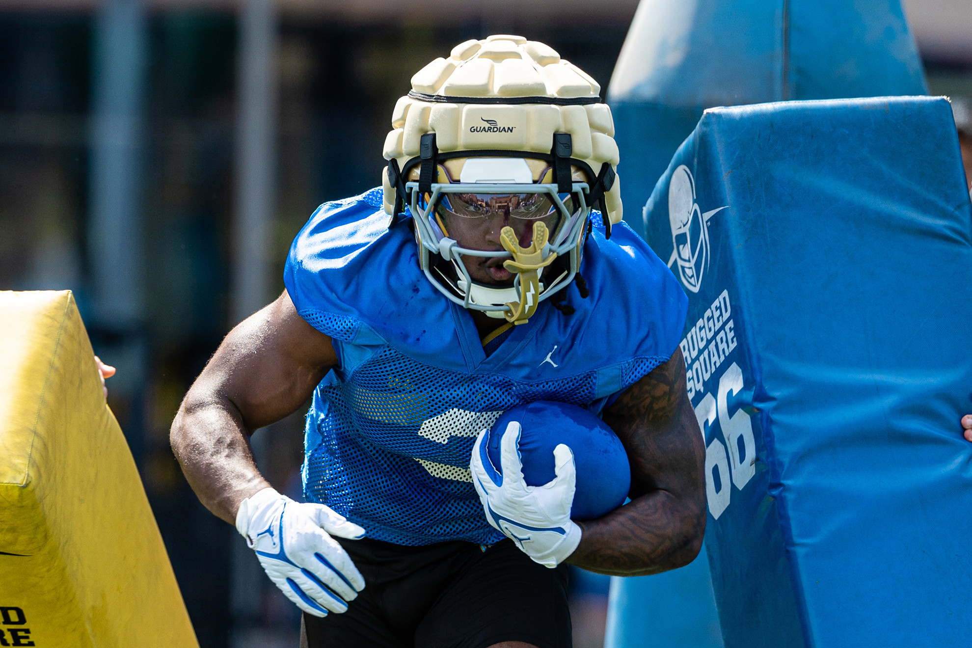 Wayne Knight Named to Hornung Award Watch List